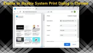 Image result for Print Using System Dialog