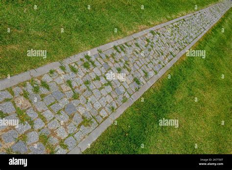 Walk Path 的图像结果