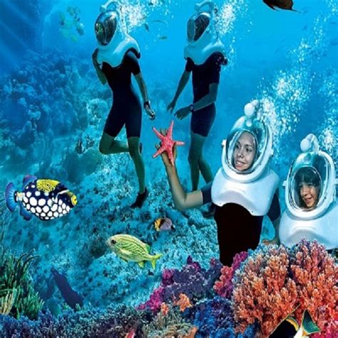 Sea Walk in Andaman Islands, Book Sea Walking Tour Package in Andaman ...