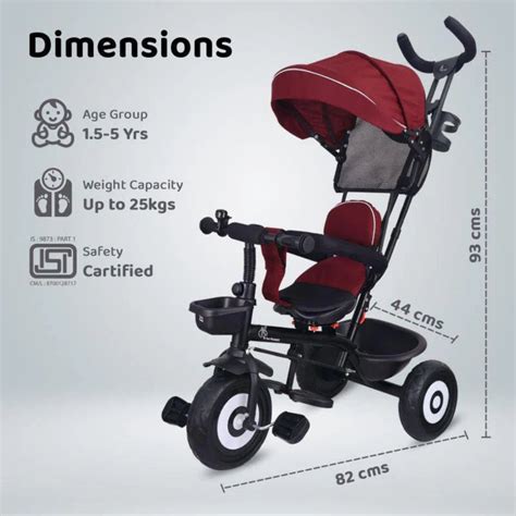 R for Rabbit Tiny Toes T40 Ace Tricycle | Buy Online at Toycra
