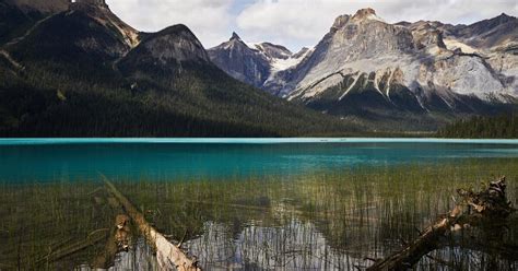 Banff Is Normally Crazy Crowded. Now Is the Time to Go.