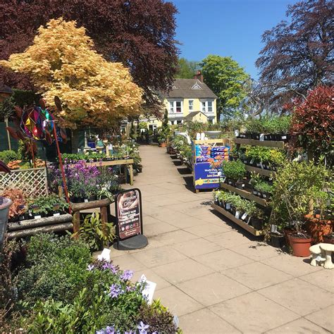 PLANT PLOT (2026) All You Need to Know BEFORE You Go (with Photos ...