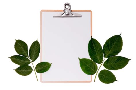 Image result for Sampling Table without Replacement