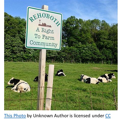 Local Development Patterns Examples 的图像结果