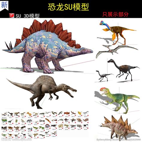 各种恐龙SU模型设计图__其他模型_3D设计_设计图库_昵图网nipic.com