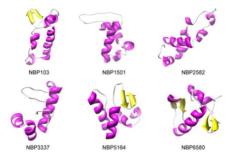 Image result for Nbps Virtual Library