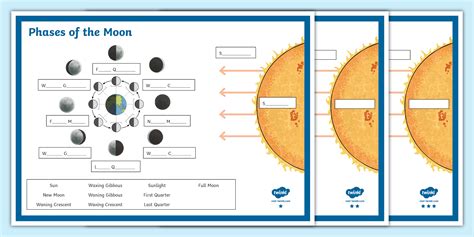 Editable Phases of the Moon Labeling Activity Sheet (with Label Boxes)