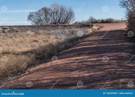Mesilla Valley Bosque Park Trail, New Mexico Stock Photo - Image of ...
