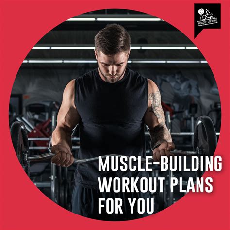 Image result for Muscle Building Workout Plan