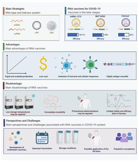 The Importance of RNA-Based Vaccines in the Fight against COVID-19: An ...