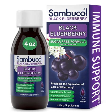 Sambucol Sugar Free Syrup, Black Elderberry, 4 Ounce : Amazon.in ...