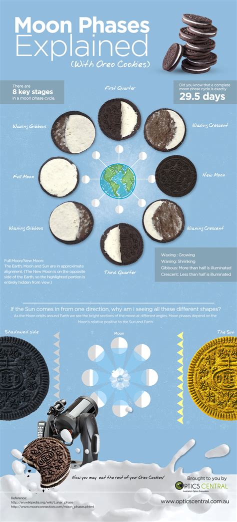 Moon Phases Oreo Worksheet - Printable Word Searches