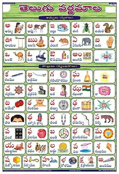 ILT Retail - Telugu Alphabet Chart, Laminated 33x48 cm (13x19 inch ...