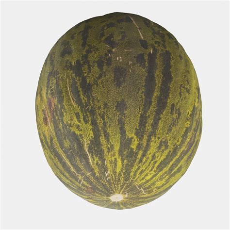 Melon 3D Model $20 - .unknown - Free3D