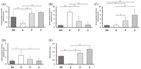 Vegetable Extracts as Therapeutic Agents: A Comprehensive Exploration ...