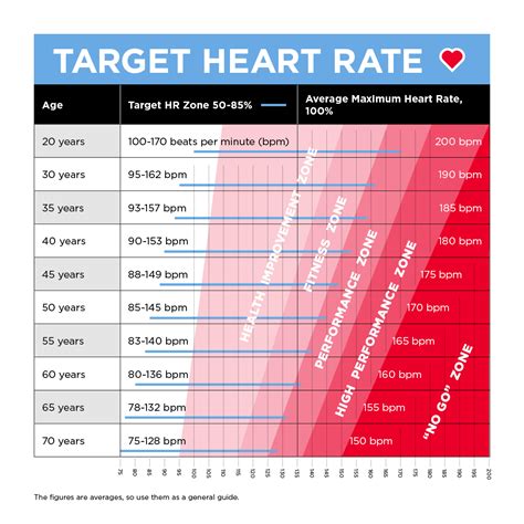 Decoding Your Heart Rate: A Friendly Guide