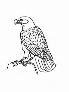 ausmalbilder zum ausdrucken adler adler ausmalbilder ausdrucken malvor ausmalbilder zum ausdrucken adler adler ausmalbilder ausdrucken malvor