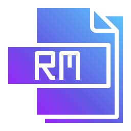 Image result for What Is RM Format
