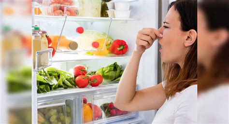 How to remove odour from refrigerator using just 1 ingredient