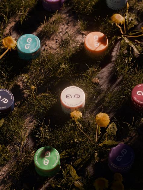 Permanent Chimera - EVD