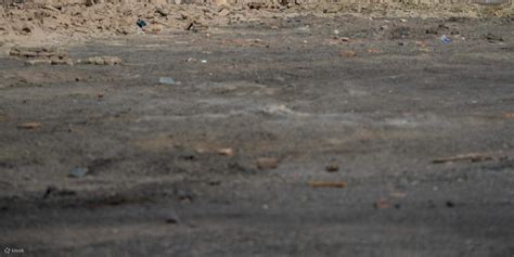 7-day tour of the Northwest for 2-8 people in a small group in Qinghai ...