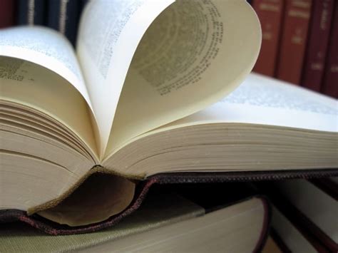 Image result for How to Study Animation