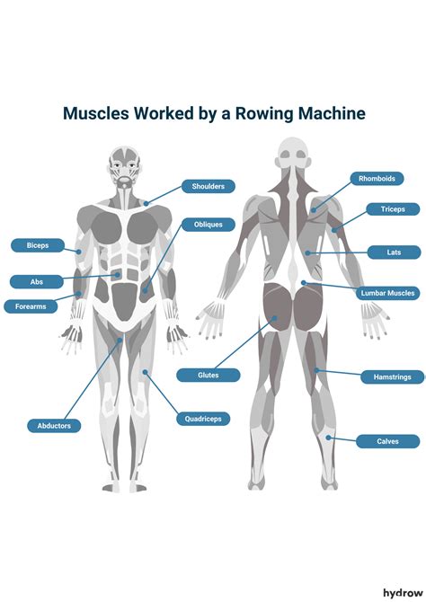 Image result for Rowing Machine Work Core