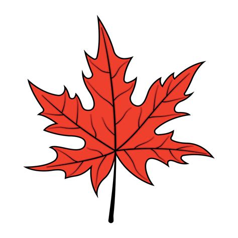 Image result for Vector File of Maple Leaf