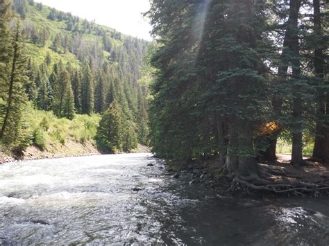 Bogan Flats Campground in White River National Forest, Colorado ...