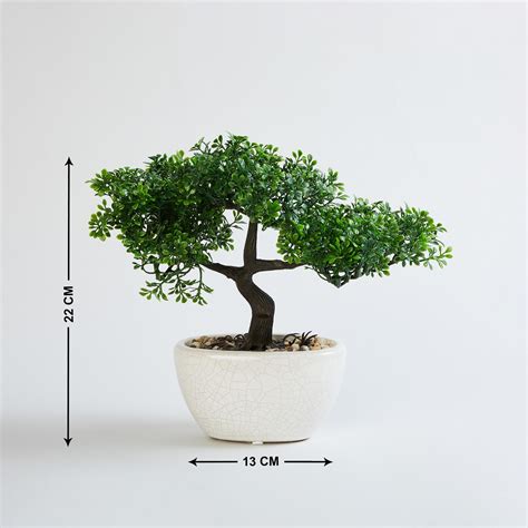 Buy Gardenia Bonsai Artificial Plant in Ceramic Pot from Home Centre at ...