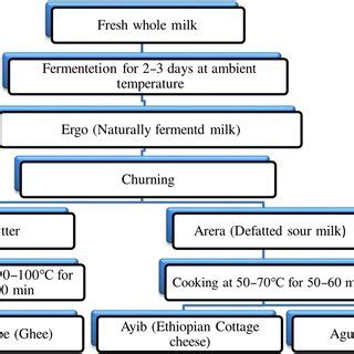 Image result for How Is Milk Processed Step by Step
