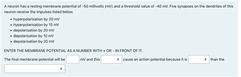 Image result for Neuron Resting Membrane Potential