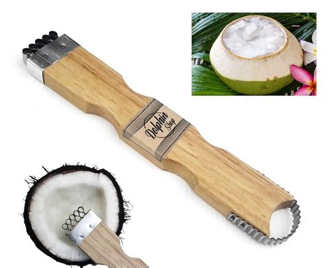 Dolphin Shop Coconut Grater Scraper Shredder For Fresh or Baby Coconut ...
