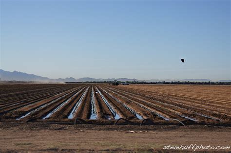 Image result for Alien Skin Bokeh 2