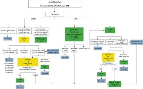 2021 AHA/ACC/ASE/CHEST/SAEM/SCCT/SCMR Guideline for the Evaluation and Diagnosis of Chest Pain ...