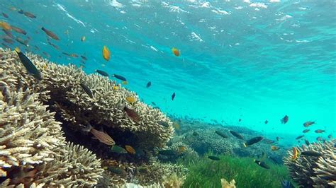 SEA DRAKE ISLAND CRUISES (Tubigon) - What to Know Before You Go