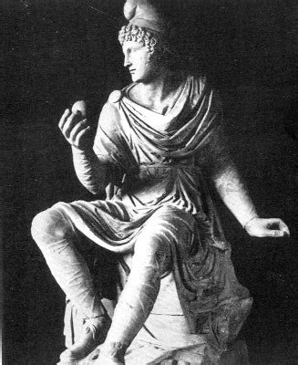 Image result for Paride Muscle Model