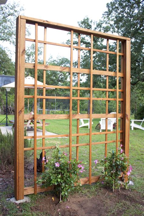 Image result for How to Build a Trellis