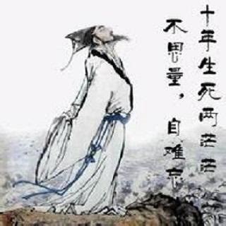 苏轼：《水龙吟·次韵章质夫杨花词》 苏轼：《水龙吟·次韵章质夫杨花词》似花还似非花，也无人惜从教坠。出自宋代苏轼的《水龙吟·次韵章质夫杨花词 - 雪球