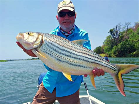 Experience the Thrill of Tiger Fishing at Boroma Fishing Camp