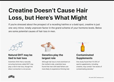Creatine Lose Hair