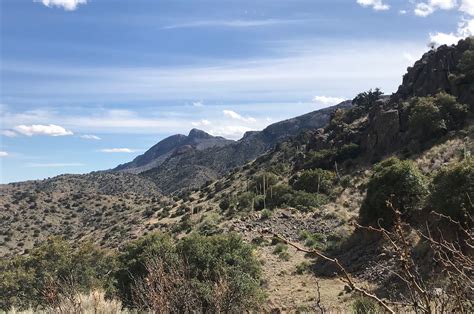 Southern New Mexico Explorer: Florida Mountains - Lobo Canyons, Florida ...