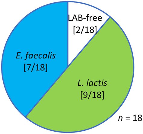 Image result for Enterococcus Faecalis Journal