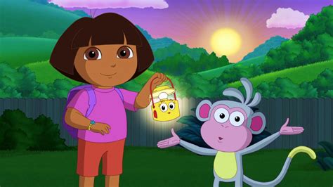 Dora Homework 的图像结果