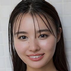 Image result for Low Shield Texture Pack Java