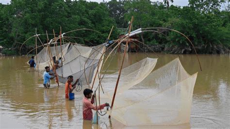 Northeast States Battle Flood Havoc, Lakhs Affected; Rescue Ops Face ...