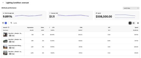 Attributes overview | Adobe GenStudio for Performance Marketing
