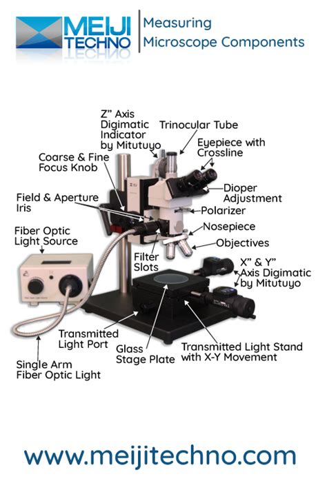 Microscope Terminology 的图像结果