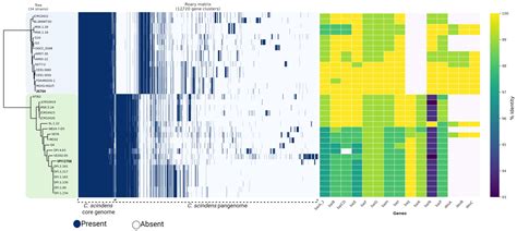 Pangenome Analysis of Clostridium scindens: A Collection of Diverse ...