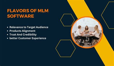 MLM System Software 的图像结果